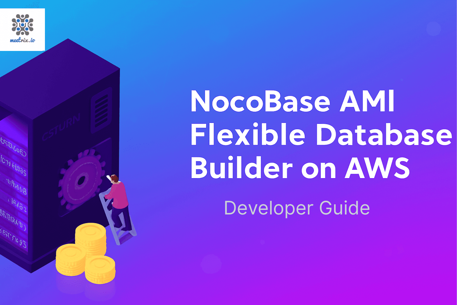 Meetrix NocoBase Developer Guide AWS
