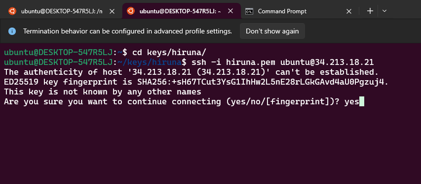 Terminal running ssh -i to connect to the OpenHands EC2 instance, prompting to confirm the host's authenticity before connecting