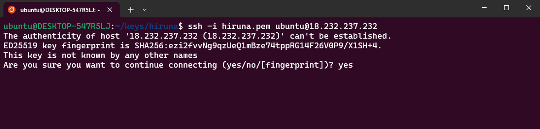 Terminal SSH session showing the host key fingerprint prompt for a second OpenHands instance before connecting