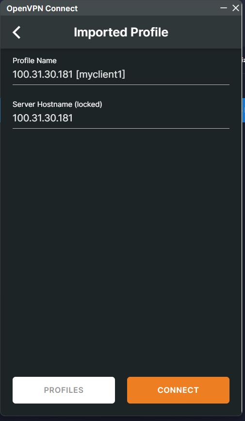Imported OpenVPN profile ready to connect