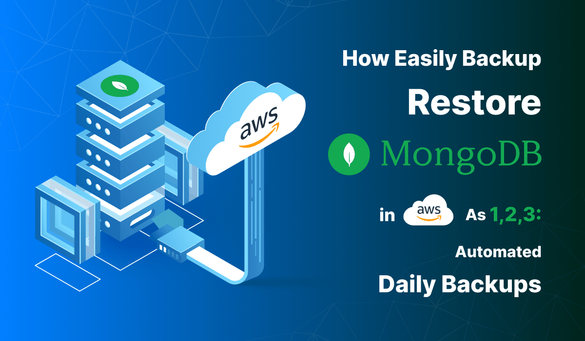 MongoDB Developer Guide